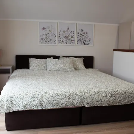 Dom wakacyjny Kaszubskie Wspomnienie *